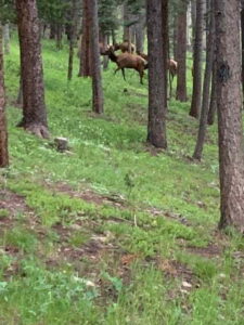 Country Wisdom from Mom That Holds Up Today Image